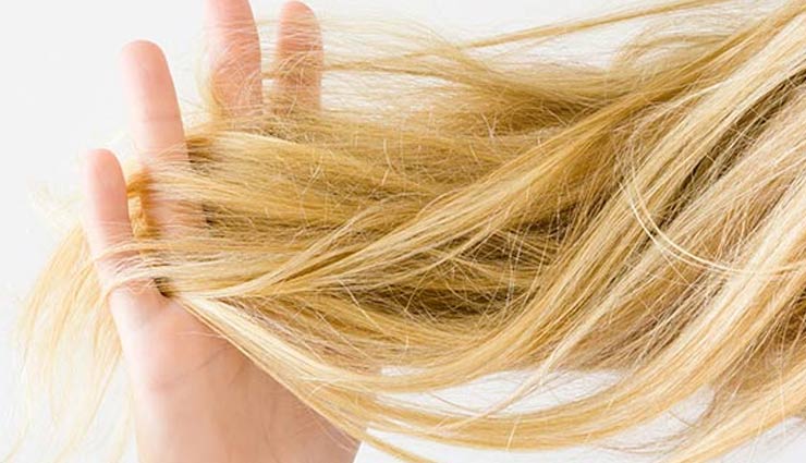 dry hair - بهترین روغن ها برای درمان خشکی مو